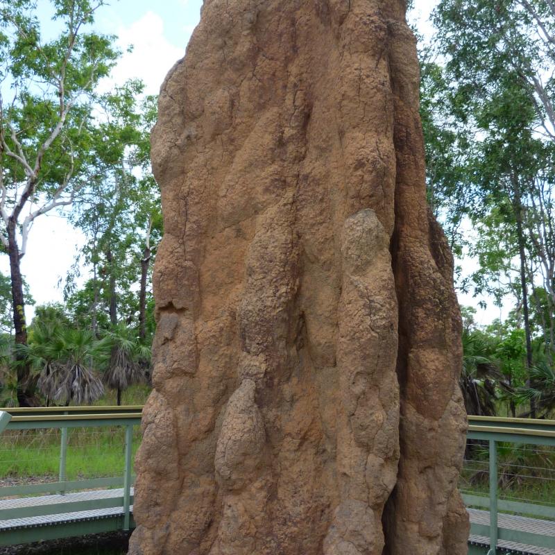 Australien