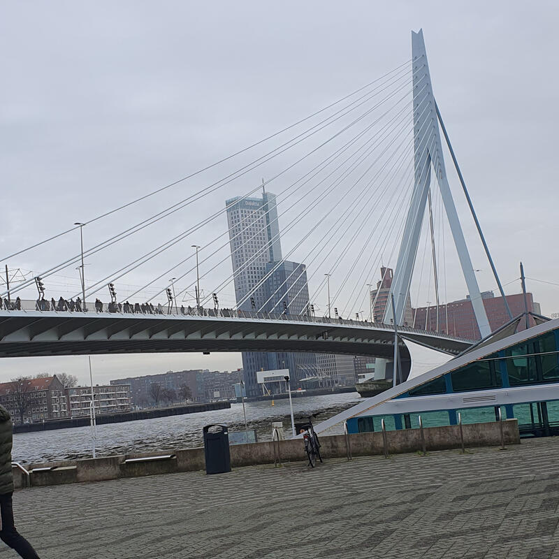 Rotterdam