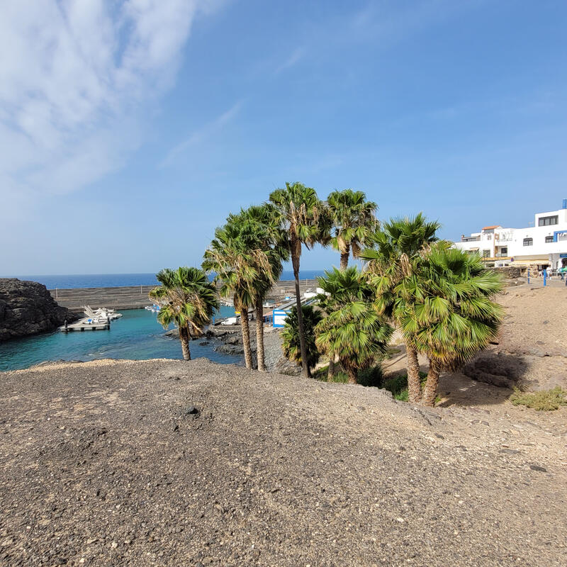 Fuerteventura 