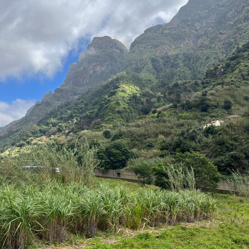 Madeira