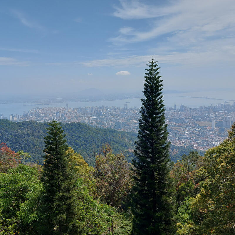 Penang 