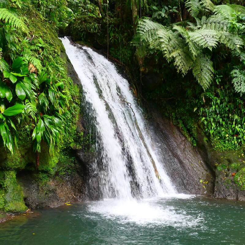 Guadeloupe 