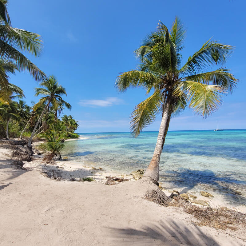 Isla Saona