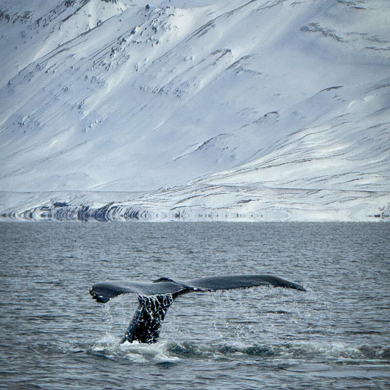 Akureyri