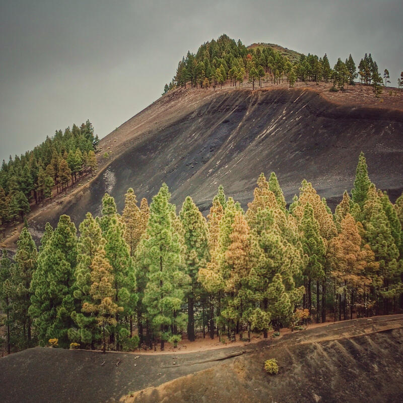 Gran Canaria 