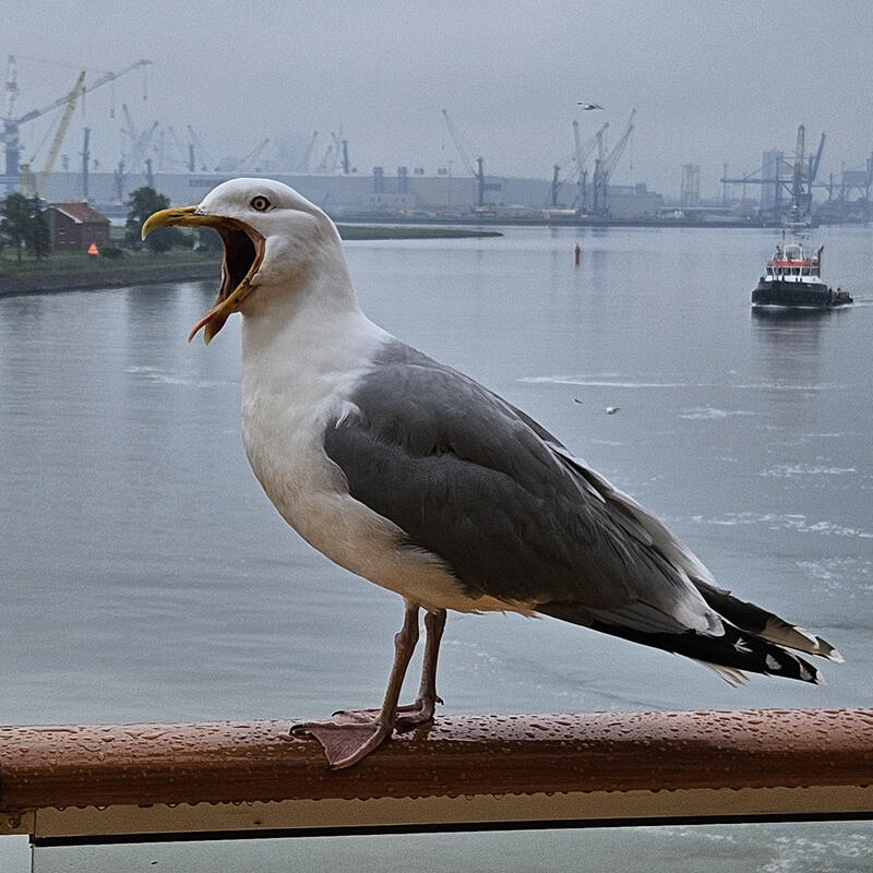 Warnemünde 