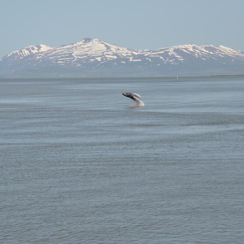 Akureyri