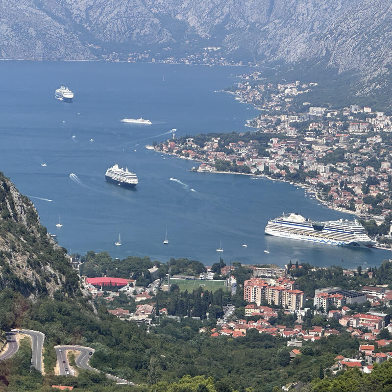 Kotor