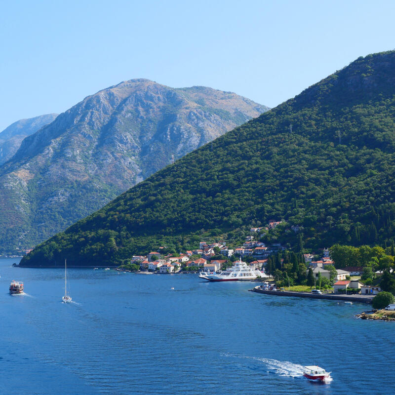 Kotor