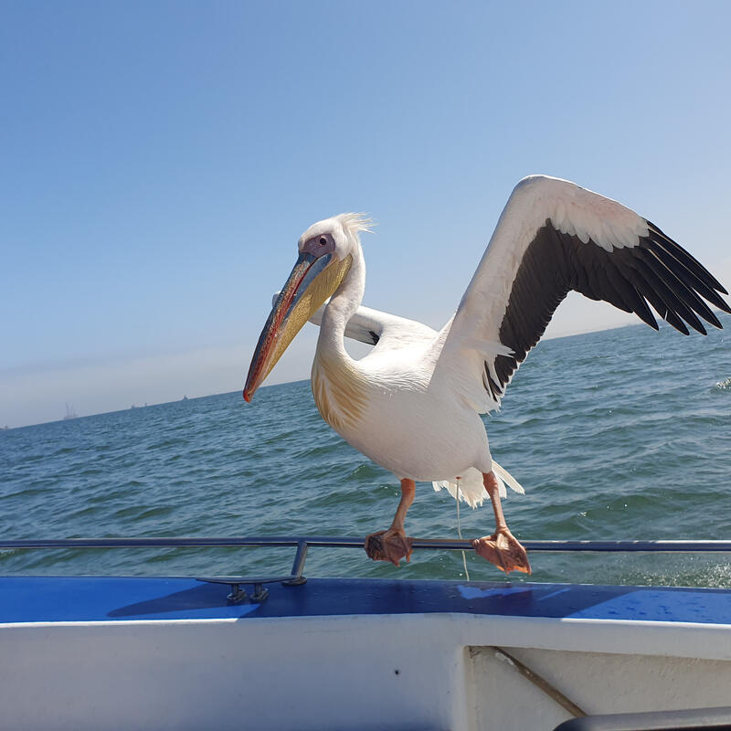 Walvis Bay