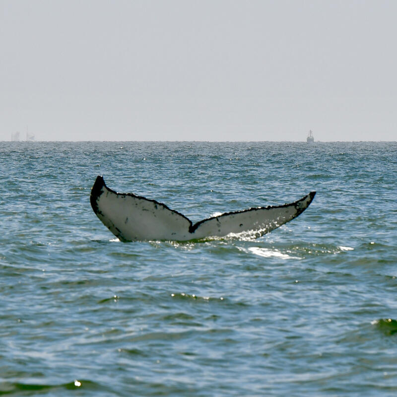 Walvis Bay