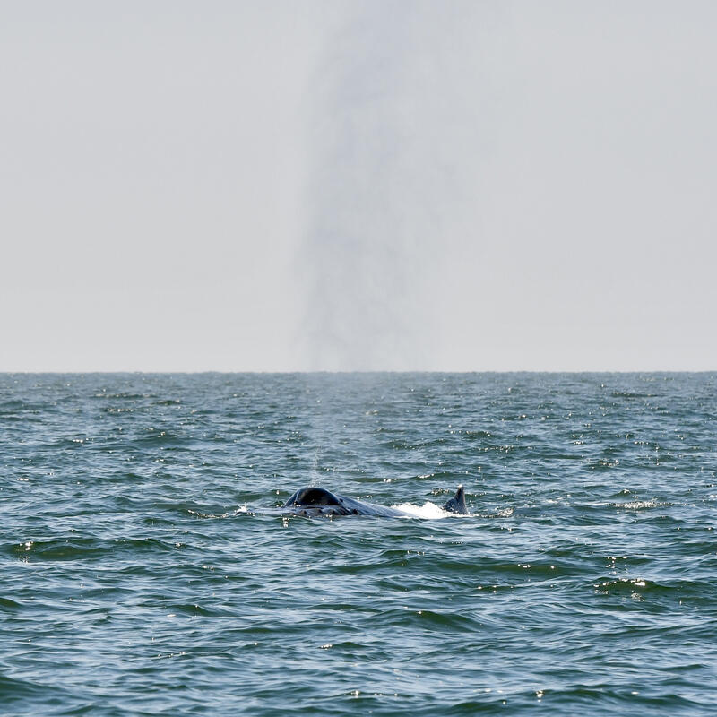 Walvis Bay