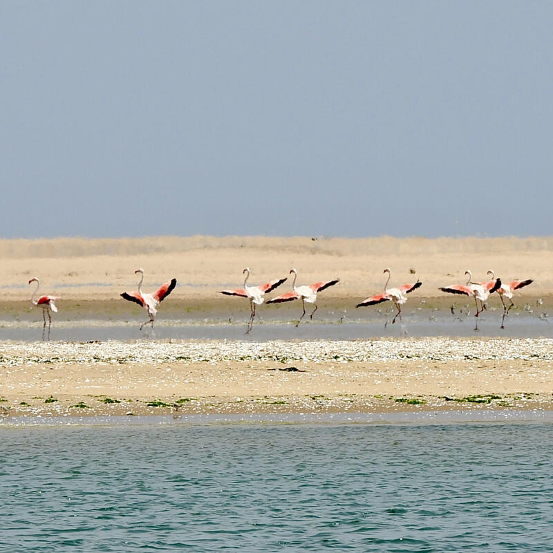 Walvis Bay