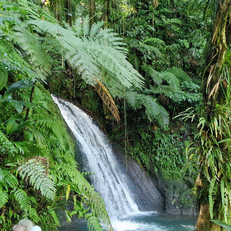 Guadeloupe 