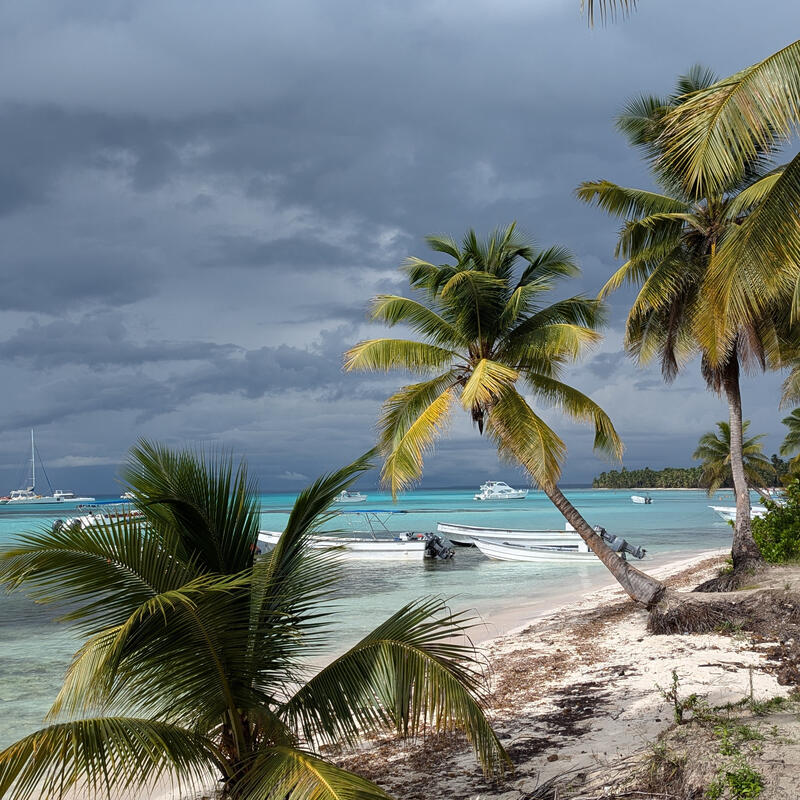 Isla Saona 