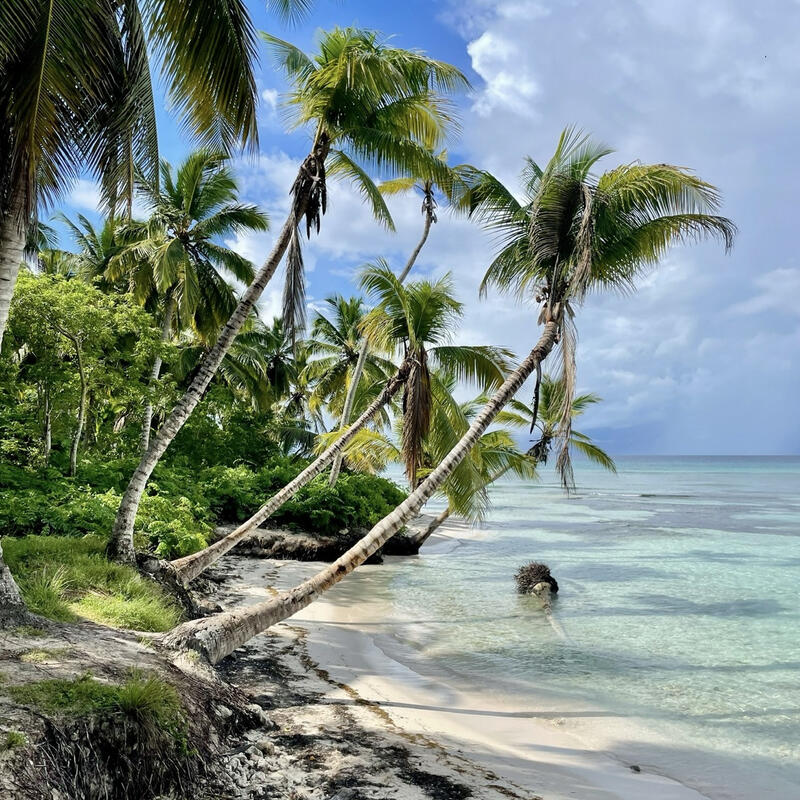 Isla Saona