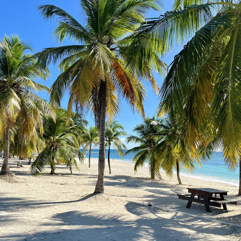La Romana