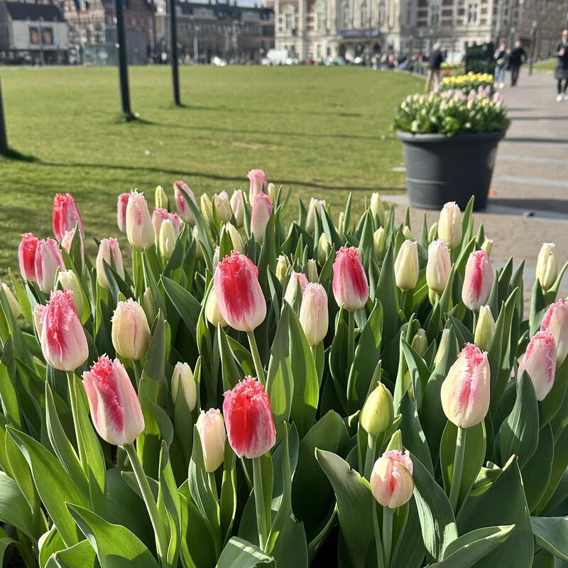 Amsterdam