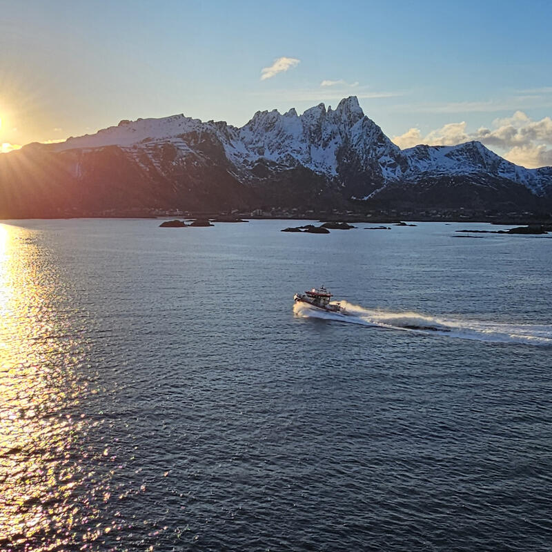 Lofoten 