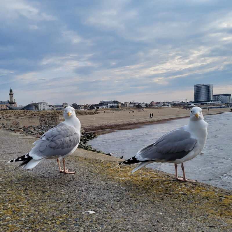 Warnemünde