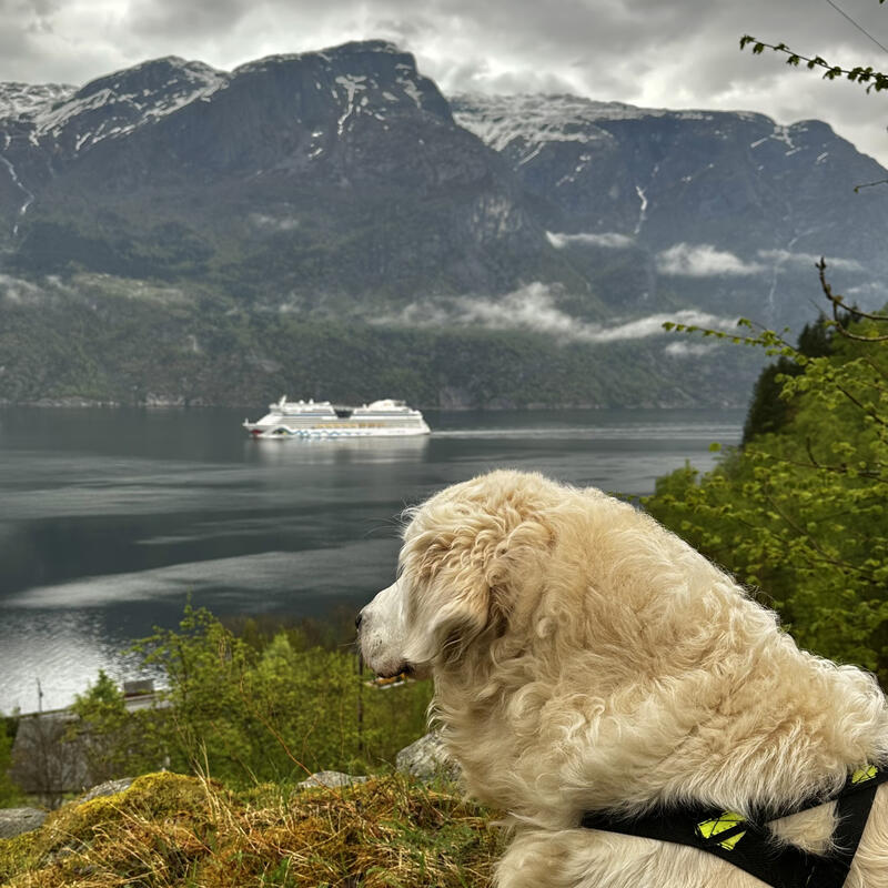 Eidfjord