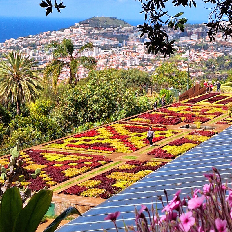 Madeira 