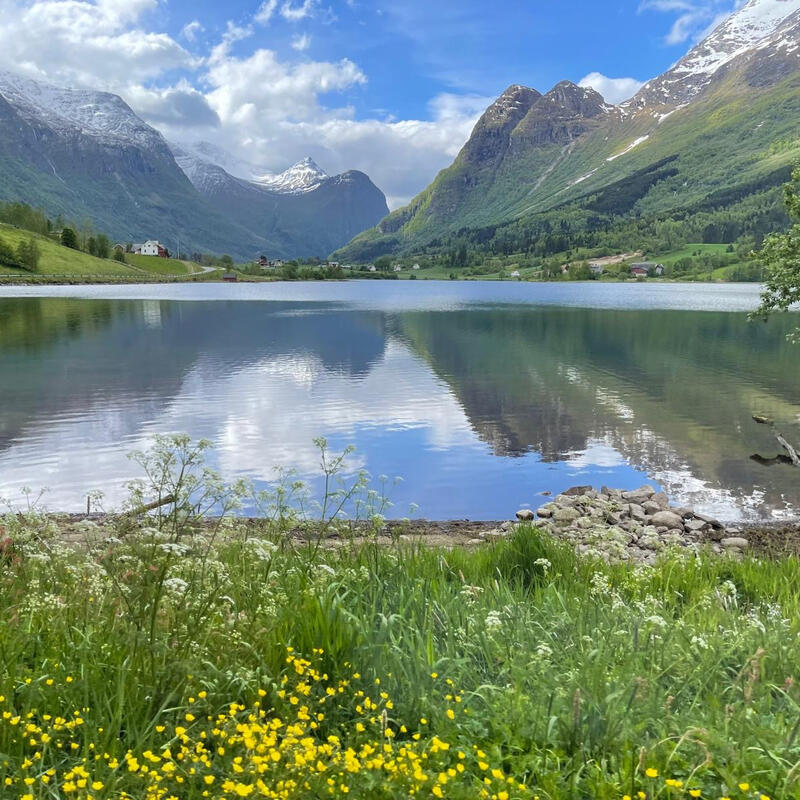 Olden/Romsdalgletscher