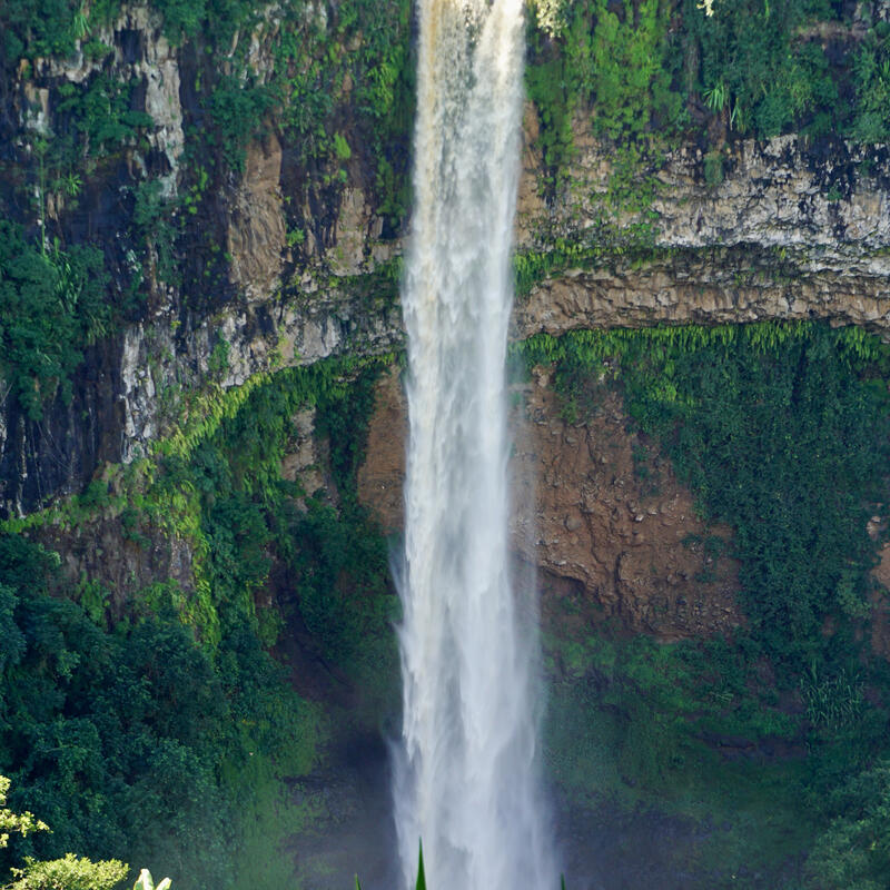 Mauritius 