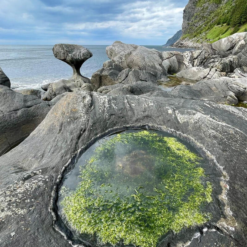 Vagsoy 