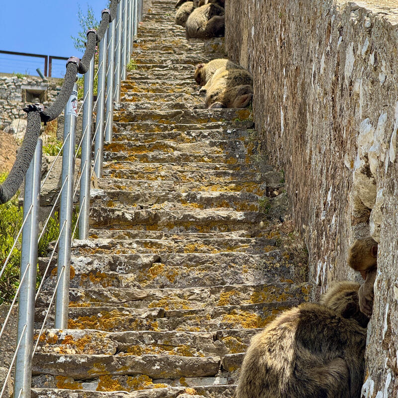 Gibraltar