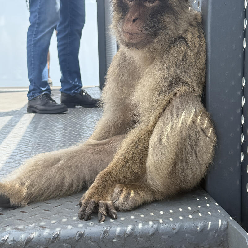 Gibraltar