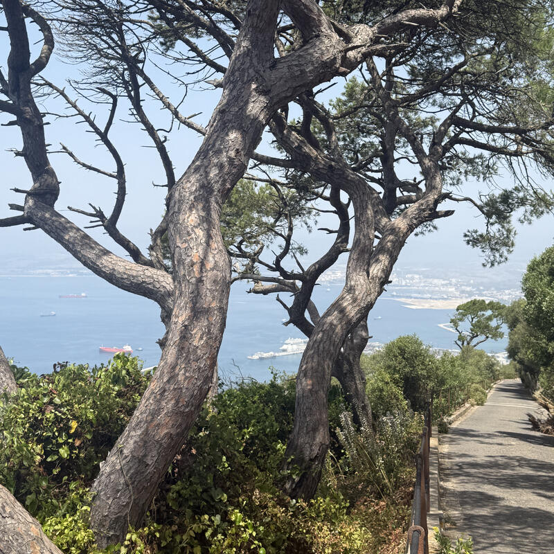 Gibraltar