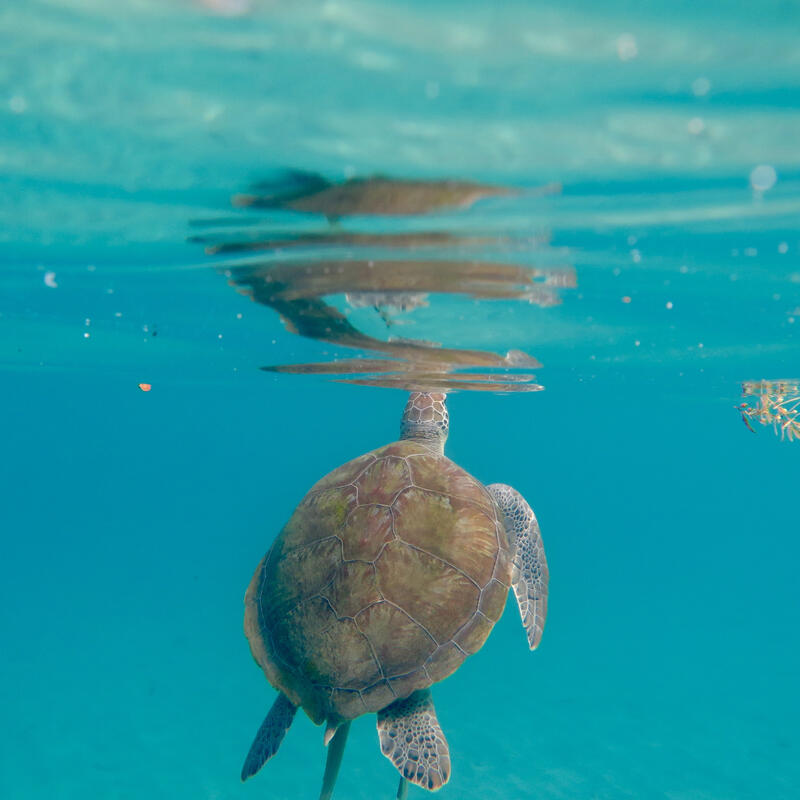Curacao