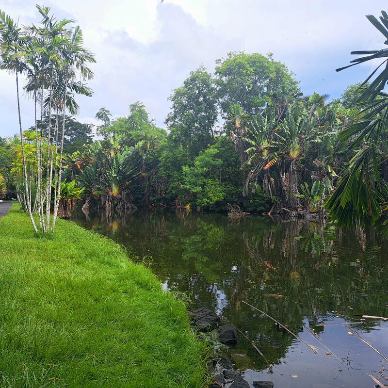 Mauritius 