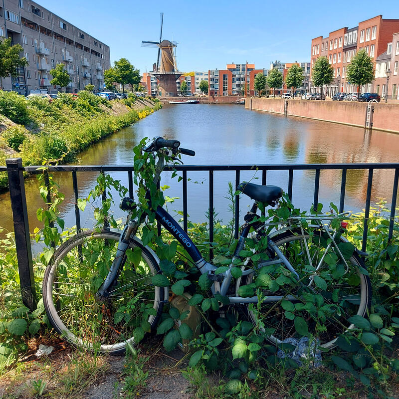 Rotterdam