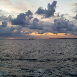 Naturkulisse am Oslofjord