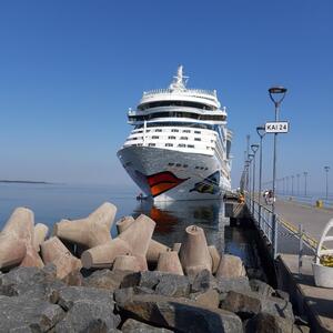 Naturaufnahme aus Tallinn