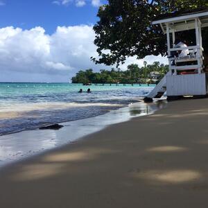 Tropische Natur bei Ocho Rios