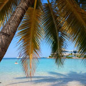 Grüne Landschaften bei Ocho Rios