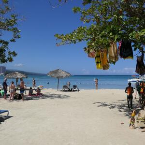 Tropische Natur rund um Ocho Rios