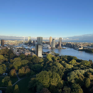 Blick auf Rotterdam