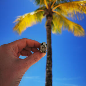 Strand und Meer auf Barbados
