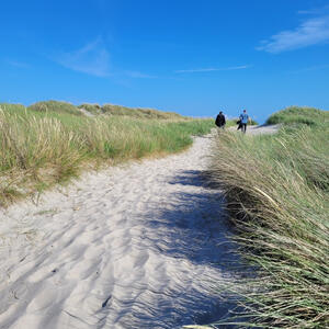 Dünenlandschaft bei Skagen