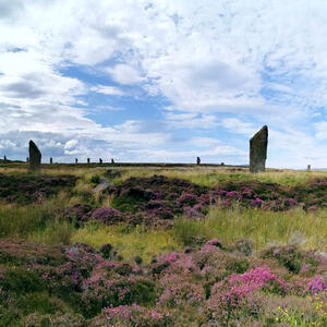 Natur der Orkney-Inseln bei Kirkwall