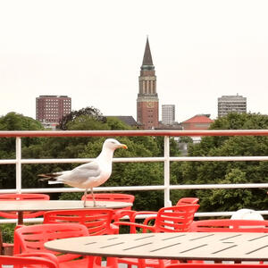 Naturstimmung an der Kieler Förde