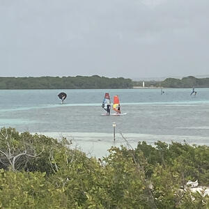 Natur auf Bonaire