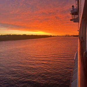 Naturblick an der Elbe bei Hamburg
