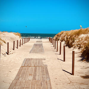Natur an der Küste von Warnemünde