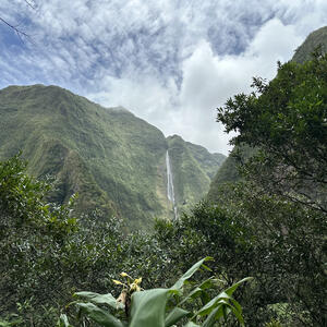 Vulkanische Natur auf La Réunion
