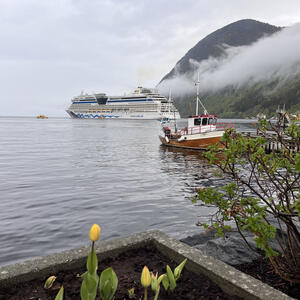 Fjordlandschaft mit AIDA Schiff